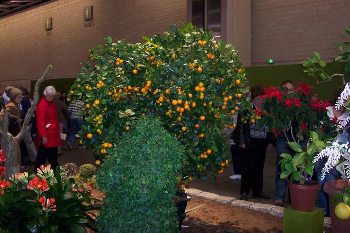 L_W 043.jpg